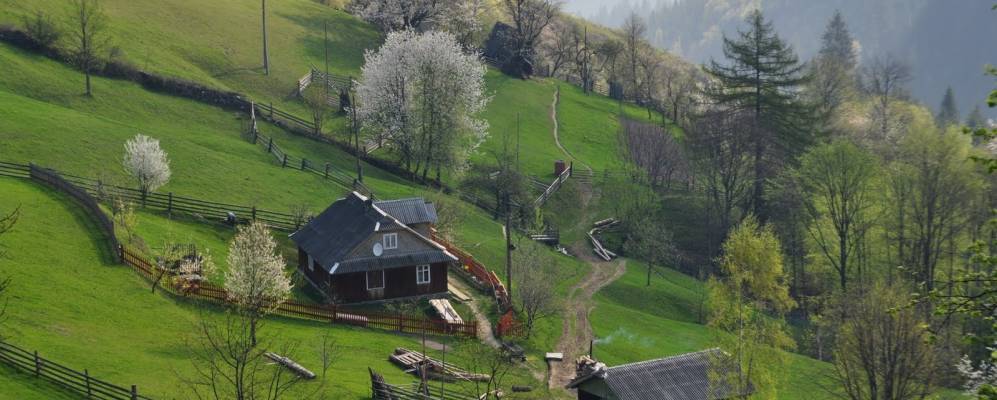 
            Фотография Великого Липовца