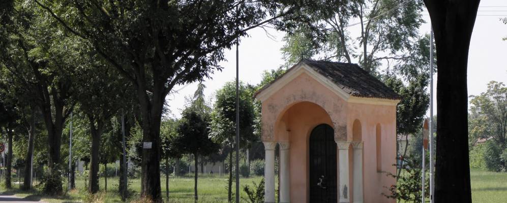 
            Фотография Гонцагы