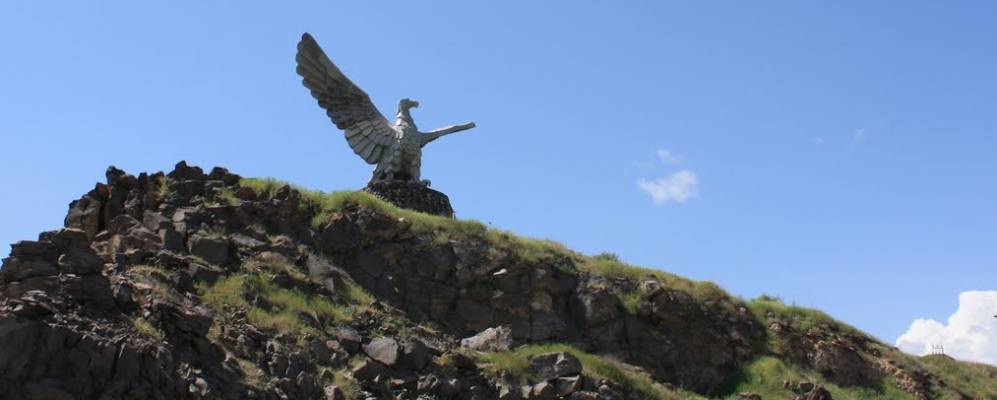 
            Фотография  Птгни