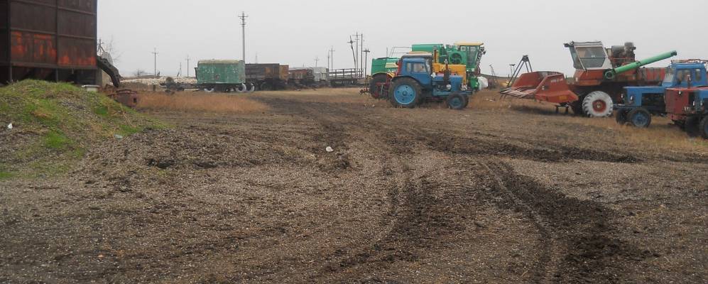 
            Фотография Тростянки