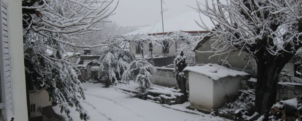 Фотография Кали