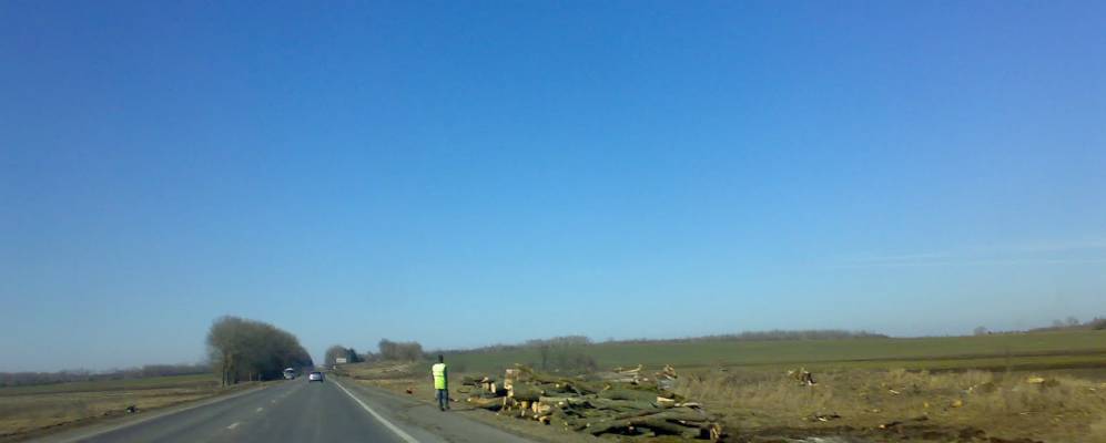 
            Фотография Новой Липы