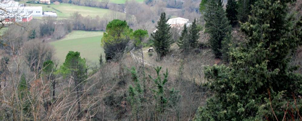 
            Фотография Дженгы