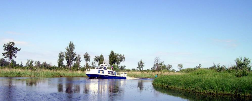 
            Фотография Толбицы