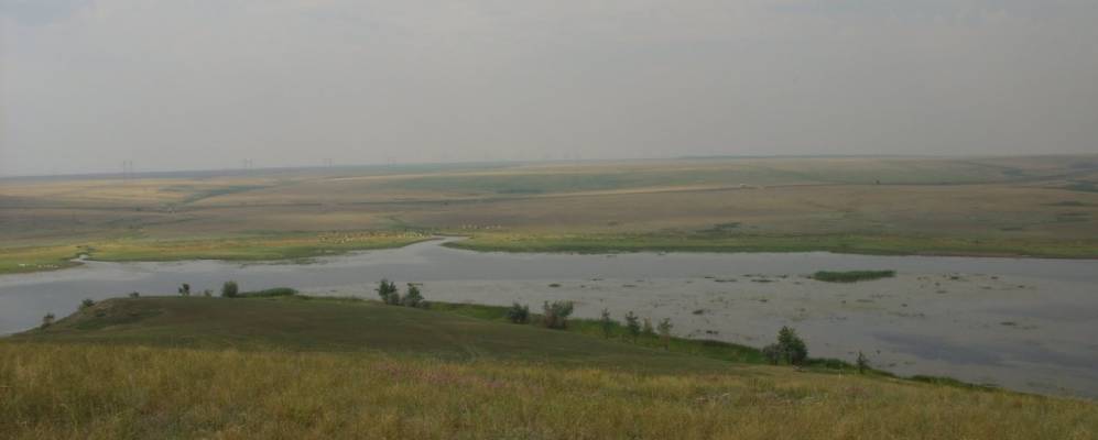 
            Фотография Заморского