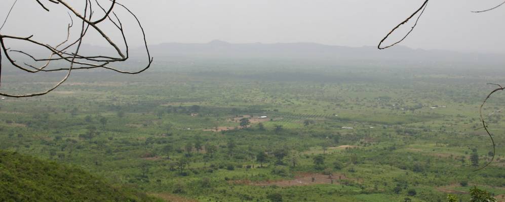 
            Фотография Amanfro