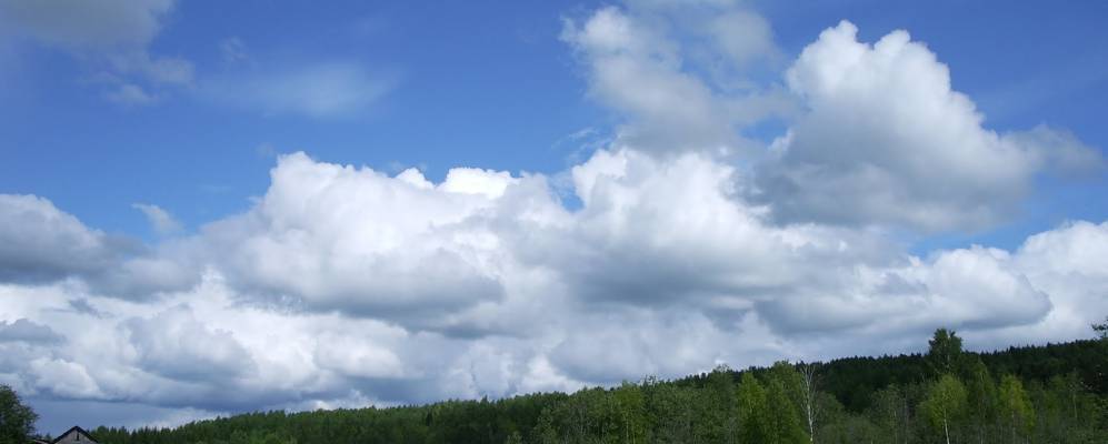 Фотография Кобляков