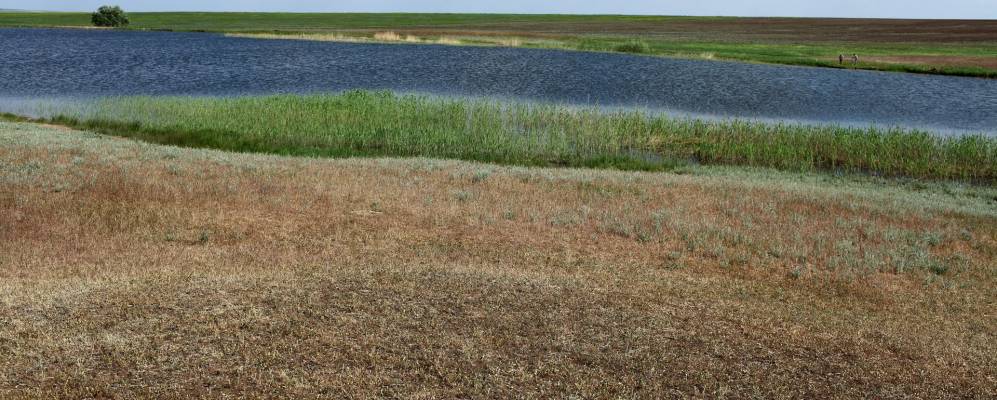 
            Фотография Землянского