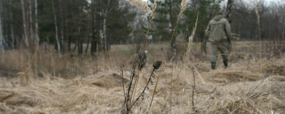 
            Фотография деревни Боровцы
