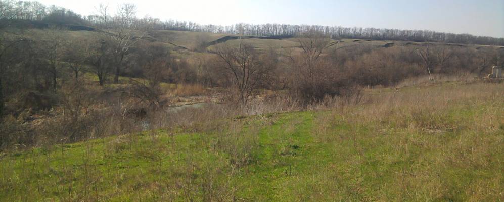 
            Фотография Куплеватого