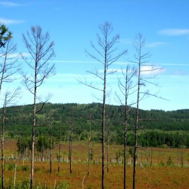 При разъезде Аячи