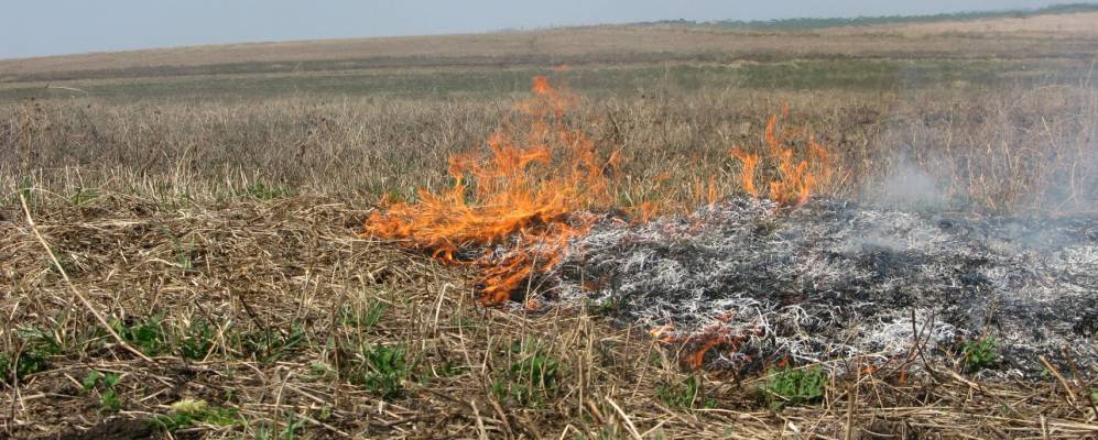 
            Фотография Душанбеково