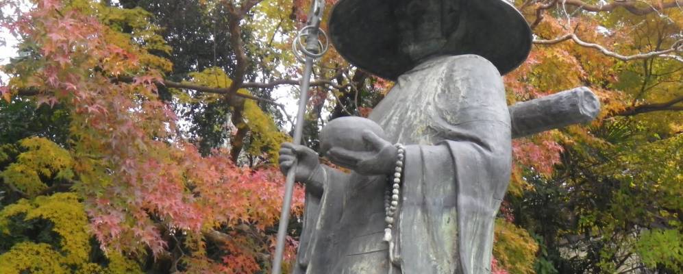 
            Фотография Савары