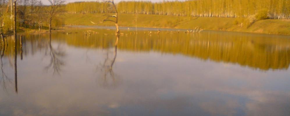 
            Фотография поселка Кондырева