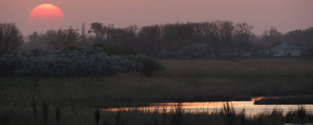 
            Фотография Мусиенково