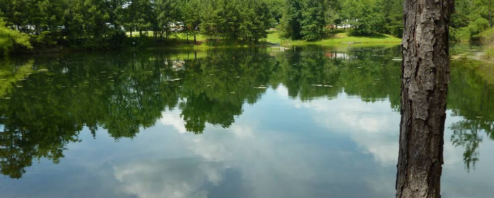 
            Фотография Кордовы