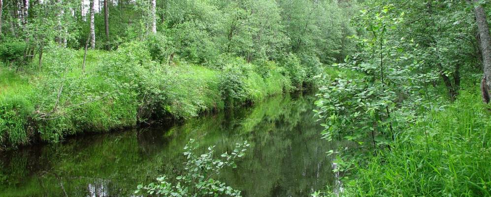 
            Фотография Шоткуси