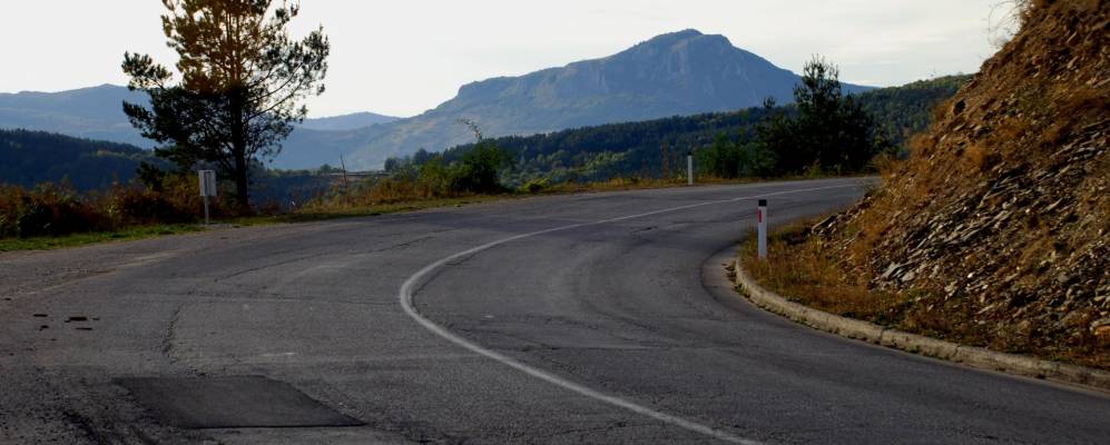 
            Фотография Копривницы