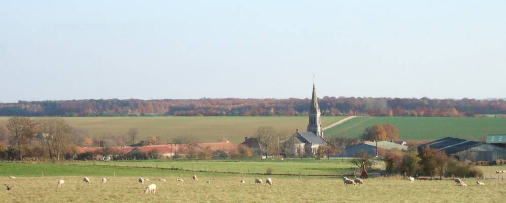 
            Фотография Flirey