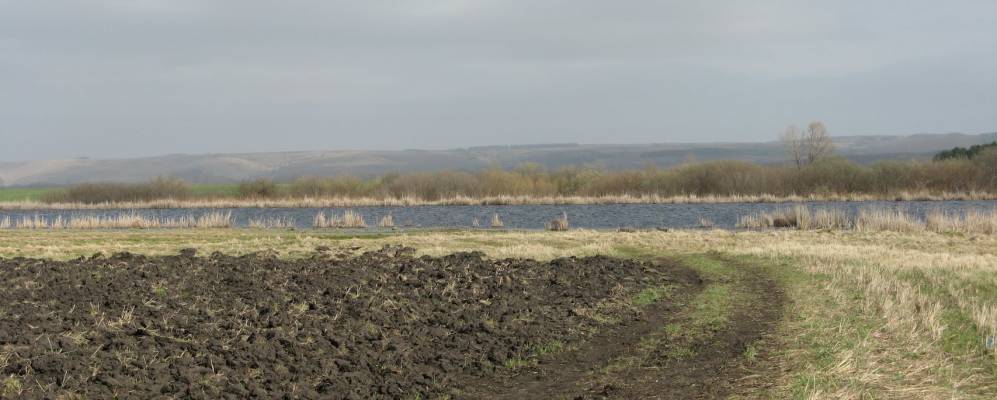 
            Фотография Малых Меми