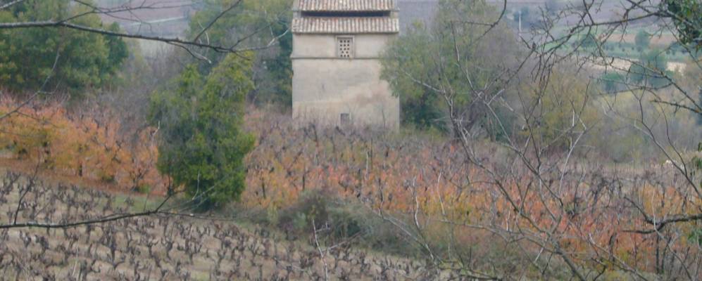 
            Фотография Гульт