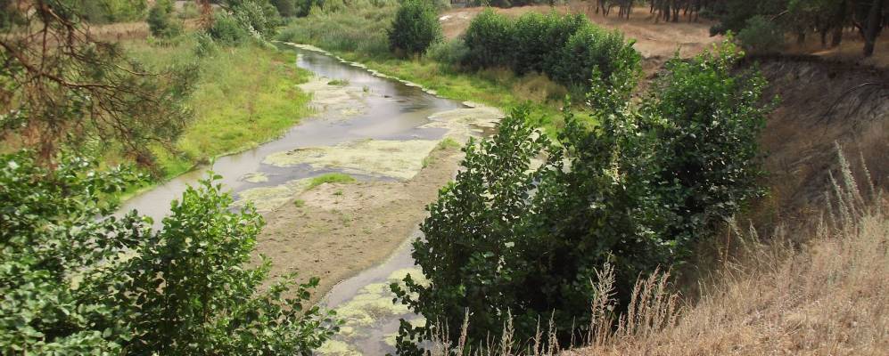 
            Фотография Березовки