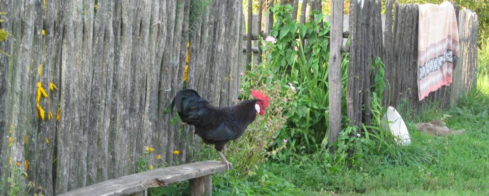 
            Фотография Паньково