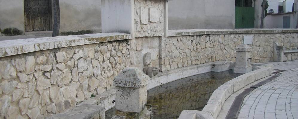 
            Фотография Пералес де Тахуны