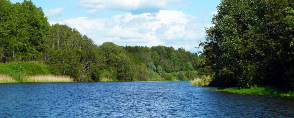 
            Фотография поселка Вазеринцы