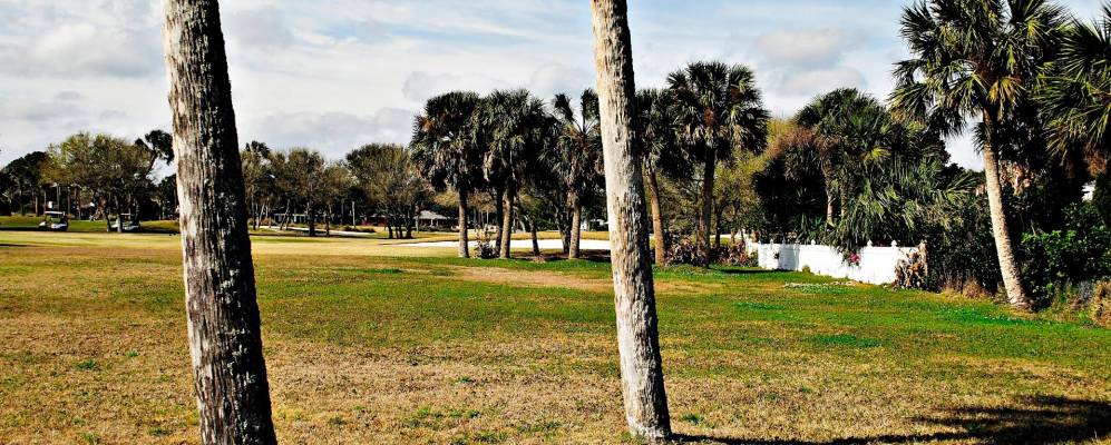 
            Фотография Понте-Ведра-Бич