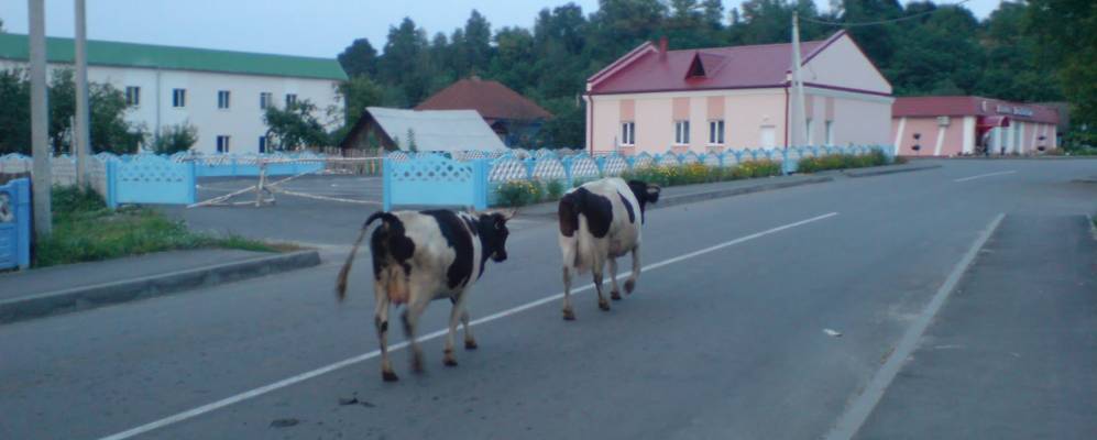 Фотография деревни Юровичи