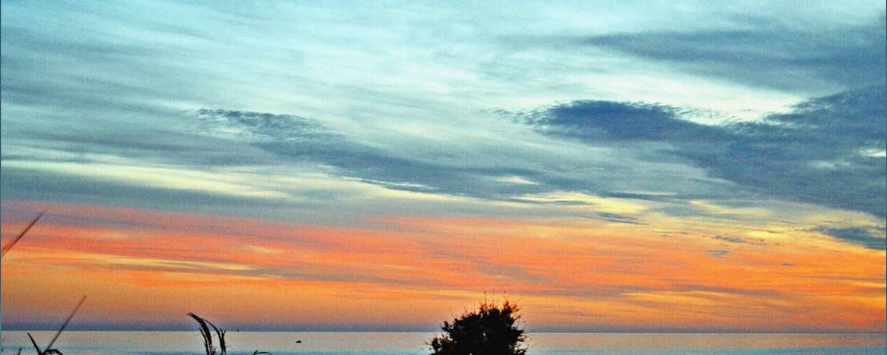 
            Фотография Ретамара