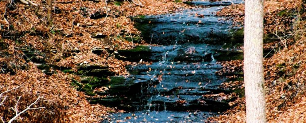 
            Фотография Fairview