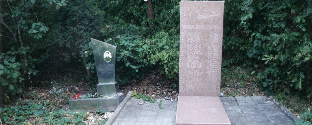 
            Фотография Бужора