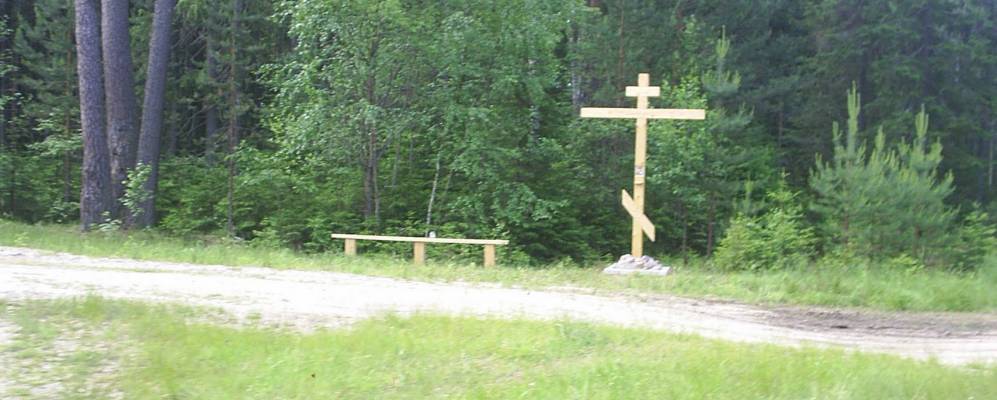 
            Фотография Волково