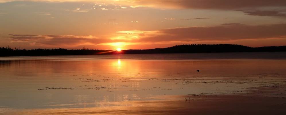 
            Фотография Ендогубы