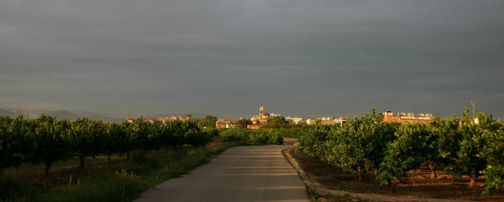 
            Фотография Альберика