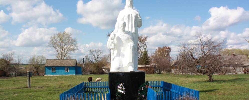 
            Фотография Перцевки