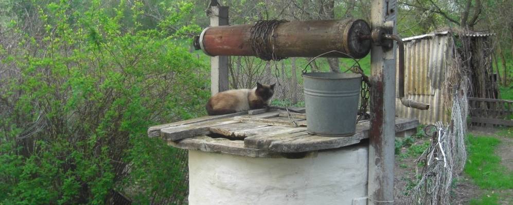 
            Фотография Коренецкого