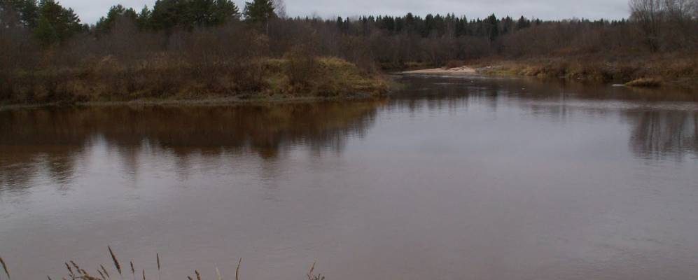 
            Фотография Нестюковской