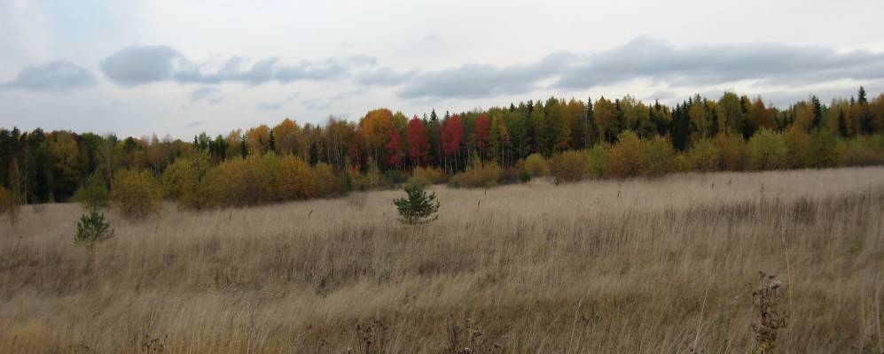 Фотография Зименков