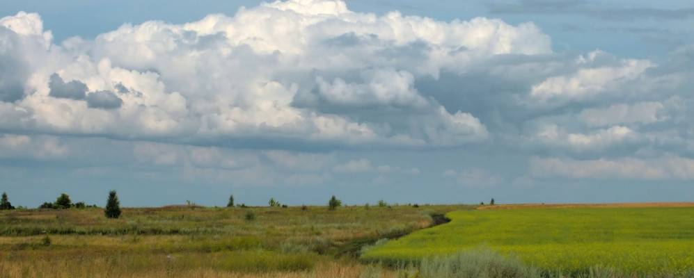 Фотография Майского