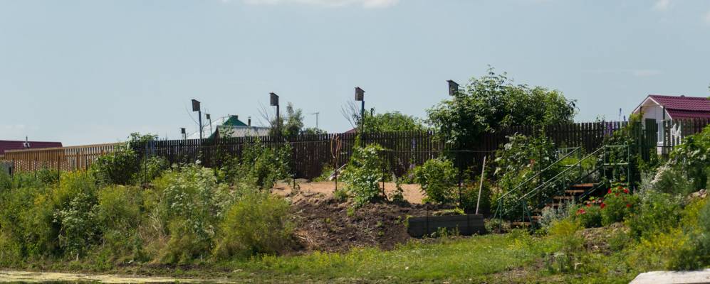 
            Фотография Чауса