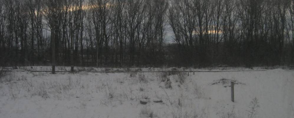 
            Фотография Вишняки