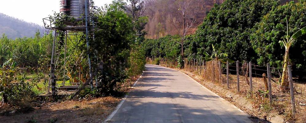 
            Фотография Ban Tom