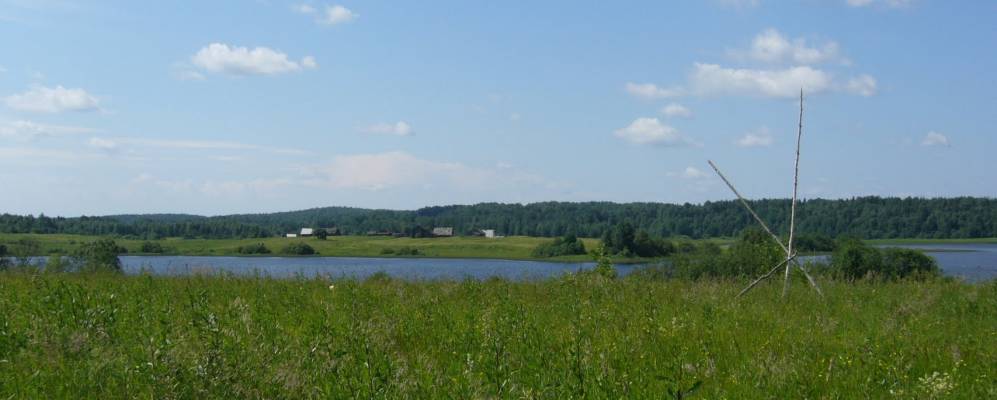 
            Фотография Кривцово