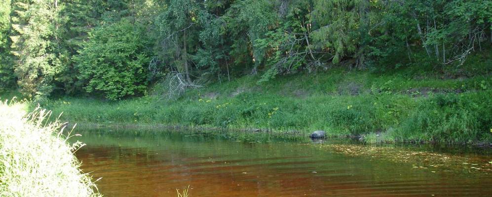 
            Фотография Кебя