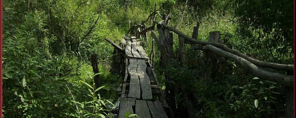 
            Фотография Умеренково