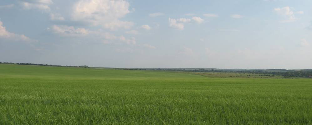 Фотография Ястребовского