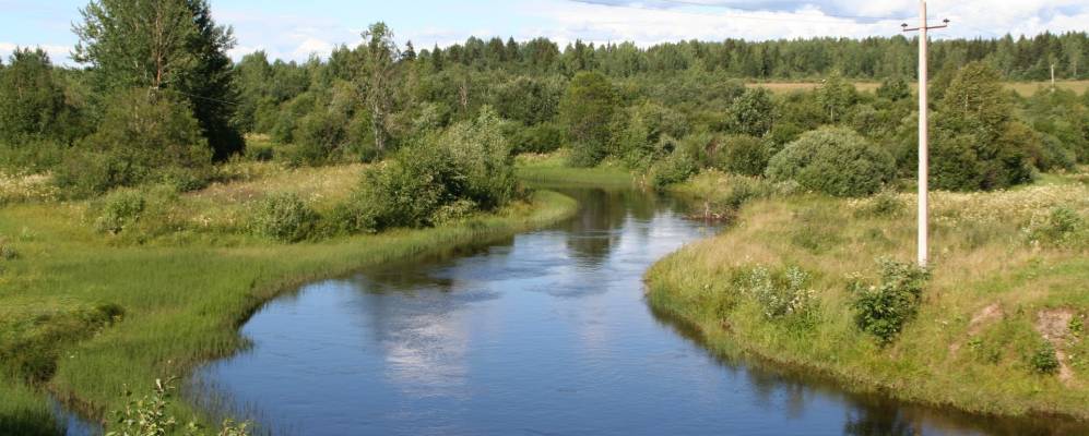 
            Фотография Сухая Нива